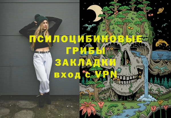 ПСИЛОЦИБИНОВЫЕ ГРИБЫ Алексин