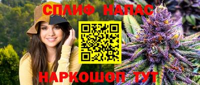 эйфоретик Кингисепп
