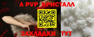 эйфоретик Кингисепп