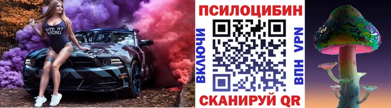 KRAKEN рабочий сайт  продажа наркотиков  Набережные Челны  Псилоцибиновые грибы Psilocybe 
