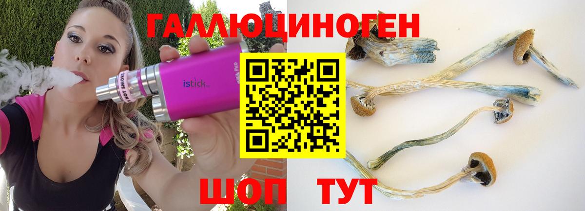 Псилоцибиновые грибы GOLDEN TEACHER Набережные Челны